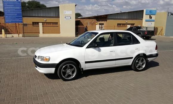 Acheter Occasion Voiture Toyota Corolla Blanc à Windhoek, Namibie Acheter Occasion Voiture Toyota Corolla Blanc à Windhoek, Namibie
