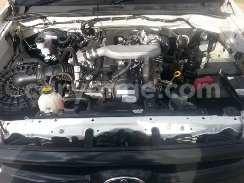 Big with watermark 14695326 1276538865723864 3907257530309395993 n