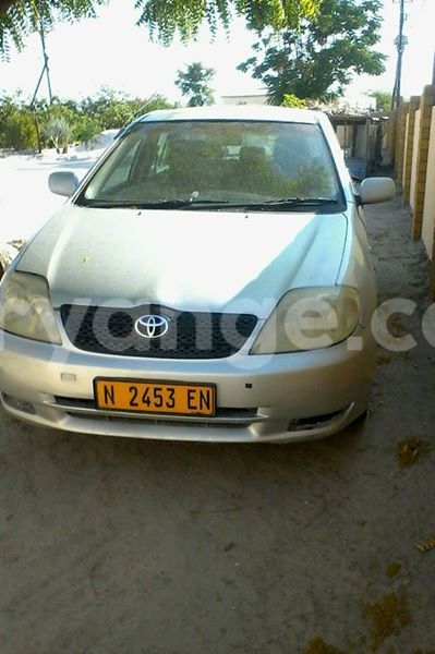 Big with watermark 14695326 1276538865723864 3907257530309395993 n