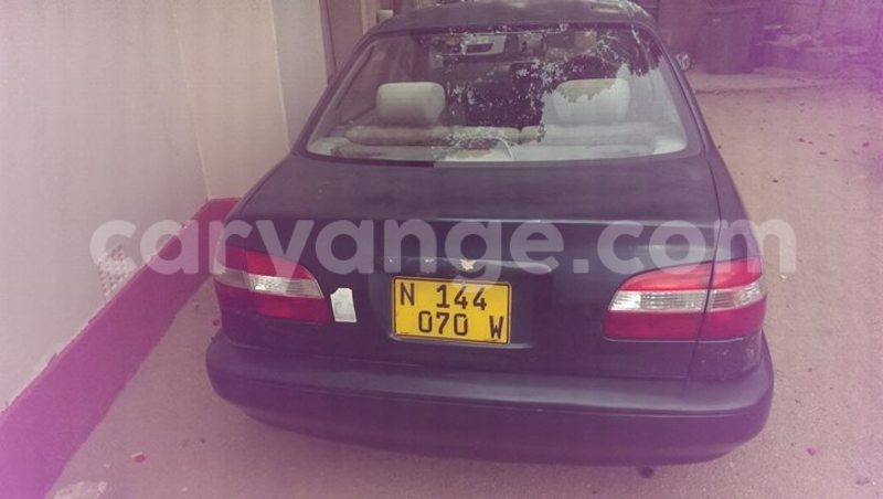 Big with watermark 14572839 1276538899057194 7605807282165903254 n