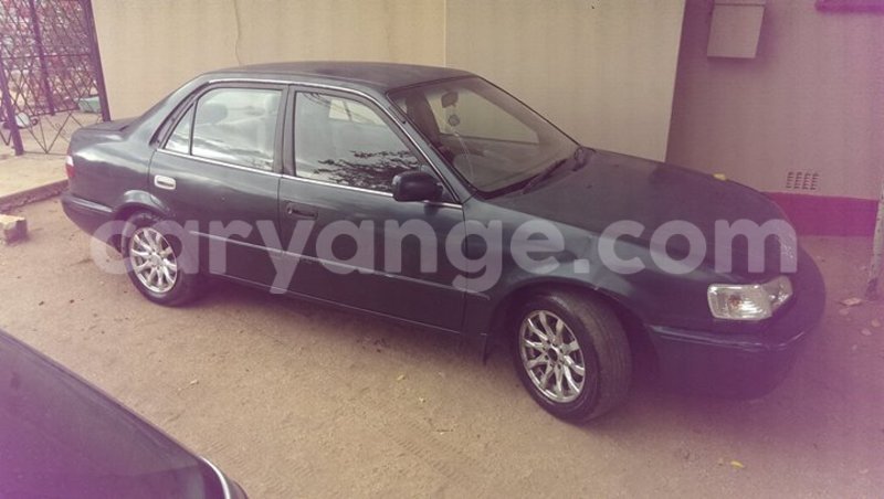 Big with watermark 14937420 10210899464142563 5142262507148257599 n