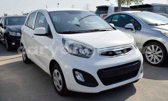 Buy Import Kia Picanto White Car in Import - Dubai in Namibia Buy Import Kia Picanto White Car in Import - Dubai in Namibia
