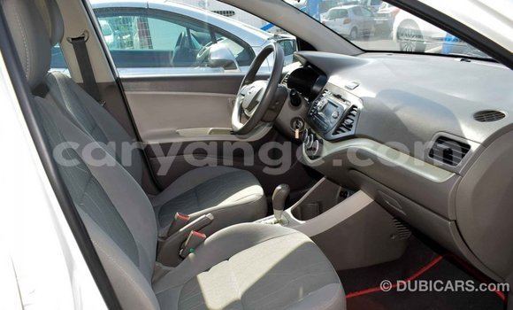Buy Import Kia Picanto White Car in Import - Dubai in Namibia Buy Import Kia Picanto White Car in Import - Dubai in Namibia