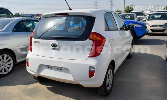 Buy Import Kia Picanto White Car in Import - Dubai in Namibia Buy Import Kia Picanto White Car in Import - Dubai in Namibia
