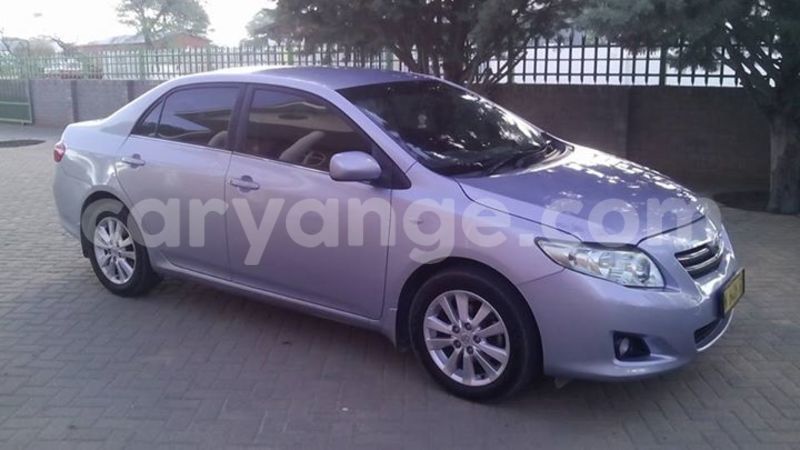 Big with watermark 14572839 1276538899057194 7605807282165903254 n