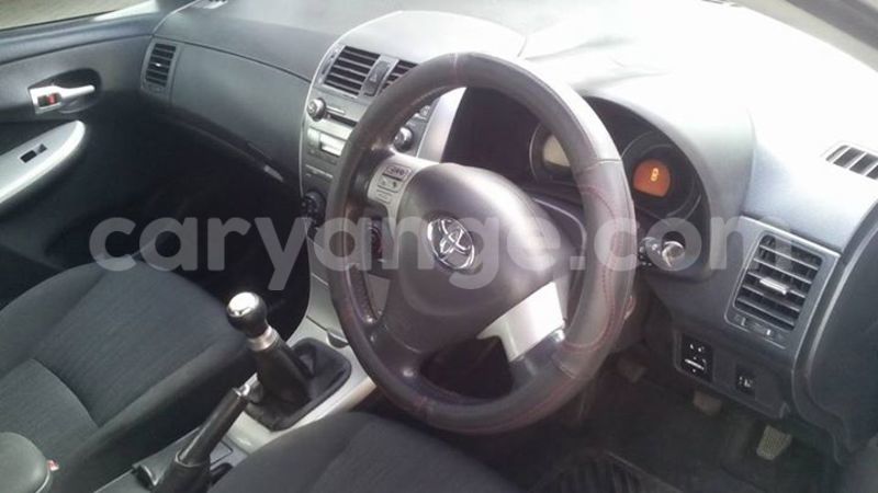 Big with watermark 14937420 10210899464142563 5142262507148257599 n