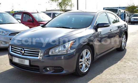 Buy Import Nissan Maxima Other Car in Import - Dubai in Namibia Buy Import Nissan Maxima Other Car in Import - Dubai in Namibia