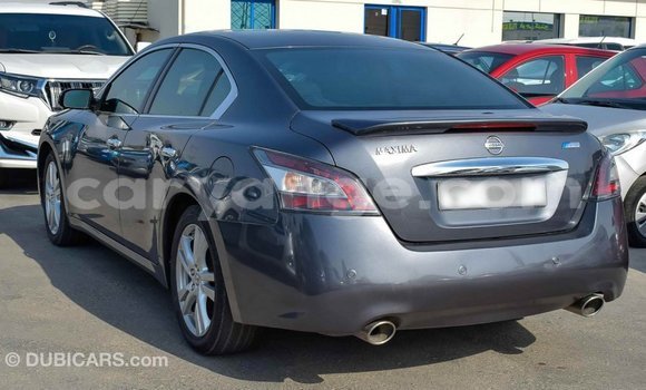 Buy Import Nissan Maxima Other Car in Import - Dubai in Namibia Buy Import Nissan Maxima Other Car in Import - Dubai in Namibia