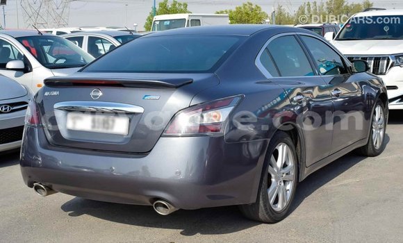 Buy Import Nissan Maxima Other Car in Import - Dubai in Namibia Buy Import Nissan Maxima Other Car in Import - Dubai in Namibia