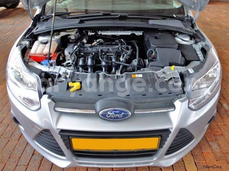 Big with watermark 14937420 10210899464142563 5142262507148257599 n