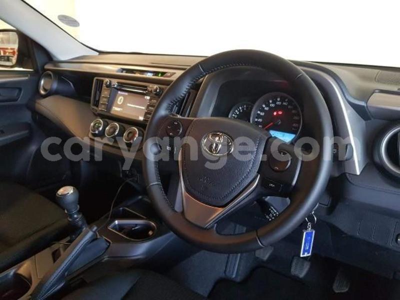 Big with watermark 20 4