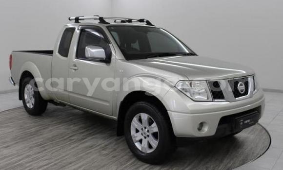 Acheter Occasion Voiture Nissan Navara Gris à Windhoek, Namibie Acheter Occasion Voiture Nissan Navara Gris à Windhoek, Namibie