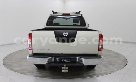 Acheter Occasion Voiture Nissan Navara Gris à Windhoek, Namibie Acheter Occasion Voiture Nissan Navara Gris à Windhoek, Namibie