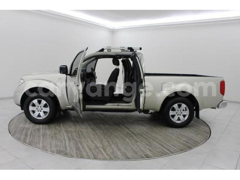 Big with watermark crop800x600 7 