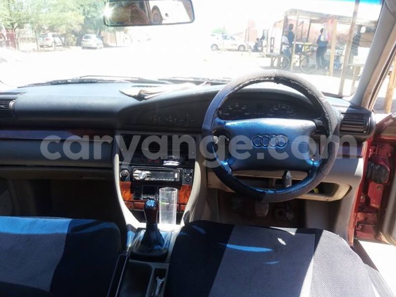 Big with watermark 14937420 10210899464142563 5142262507148257599 n