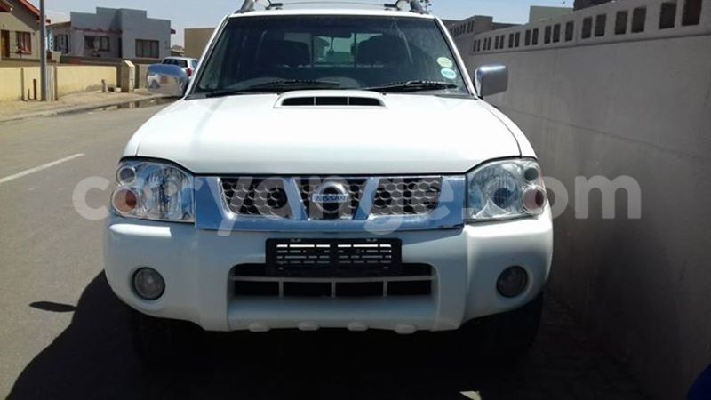 Big with watermark 14572839 1276538899057194 7605807282165903254 n