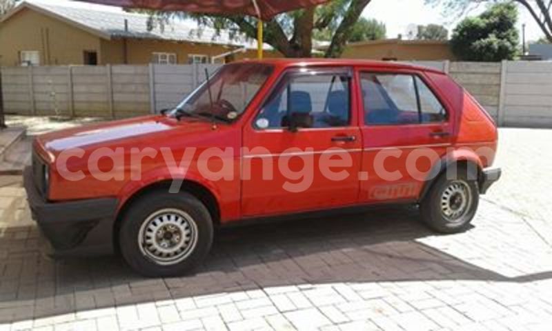 Big with watermark 14572839 1276538899057194 7605807282165903254 n