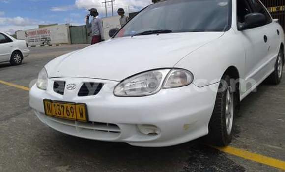 Buy Used Hyundai Elantra White Car in Windhoek in Namibia