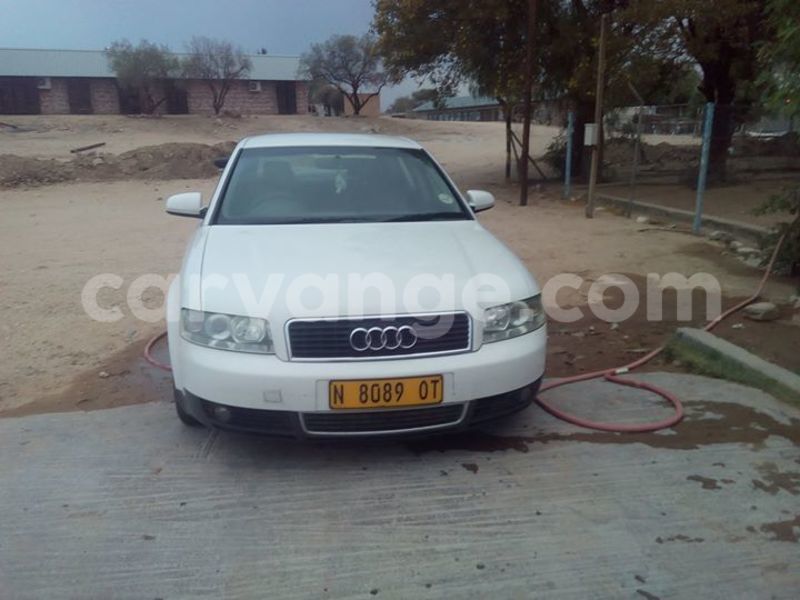 Big with watermark 14695326 1276538865723864 3907257530309395993 n