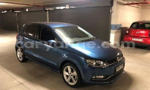 Buy Used Volkswagen Polo Blue Car in Windhoek in Namibia Buy Used Volkswagen Polo Blue Car in Windhoek in Namibia