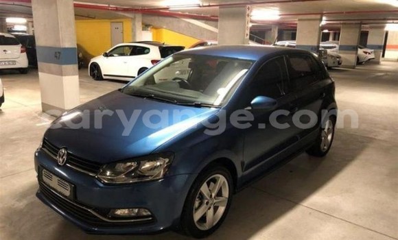 Buy Used Volkswagen Polo Blue Car in Windhoek in Namibia Buy Used Volkswagen Polo Blue Car in Windhoek in Namibia