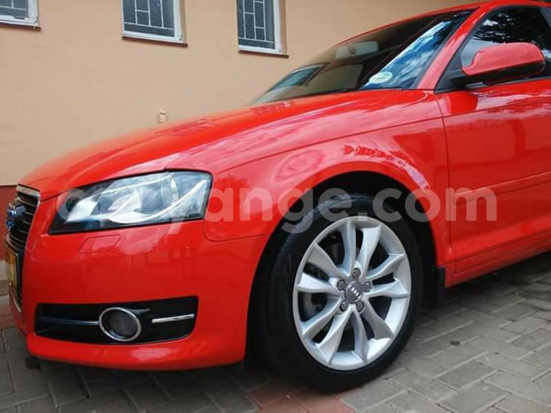 Big with watermark 14572839 1276538899057194 7605807282165903254 n