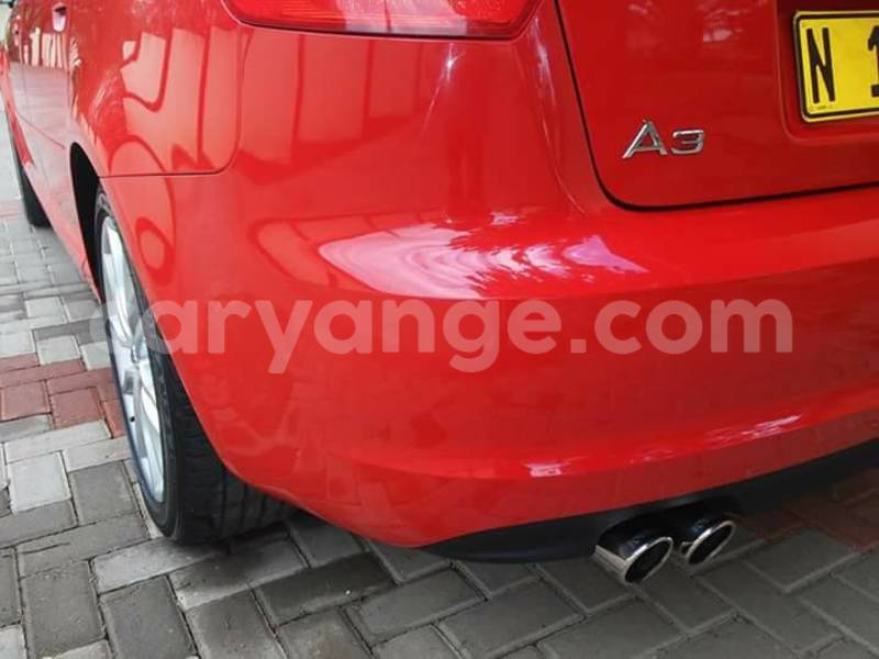 Big with watermark 14695326 1276538865723864 3907257530309395993 n