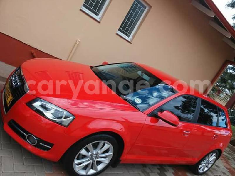 Big with watermark 14937420 10210899464142563 5142262507148257599 n