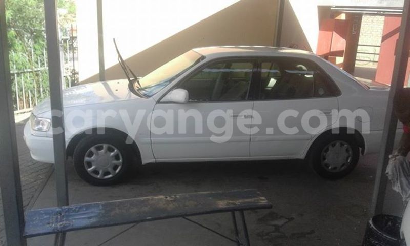 Big with watermark 14695326 1276538865723864 3907257530309395993 n