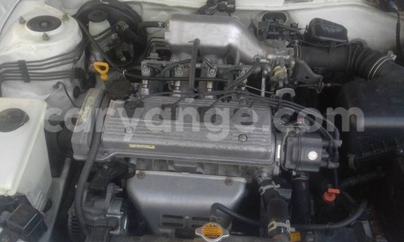 Big with watermark 14937420 10210899464142563 5142262507148257599 n