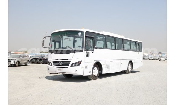 Buy Import Tata Xenon White Car in Import - Dubai in Namibia