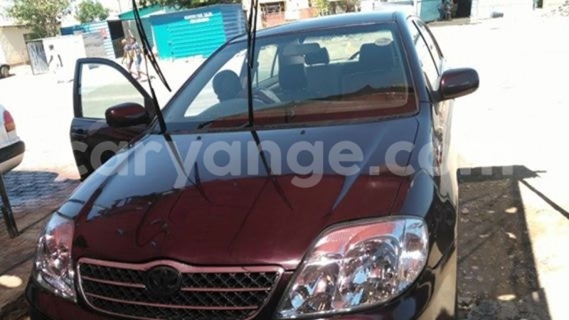 Big with watermark 14572839 1276538899057194 7605807282165903254 n