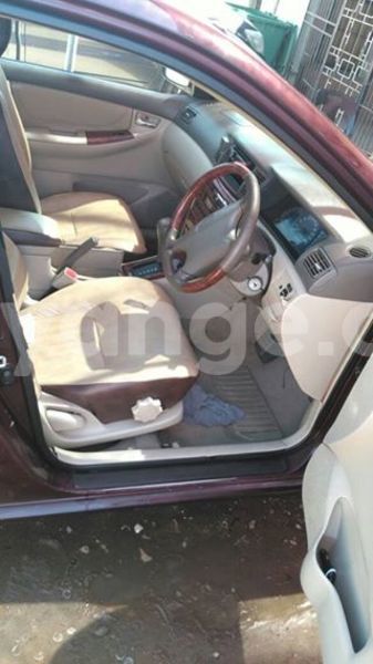 Big with watermark 14695326 1276538865723864 3907257530309395993 n