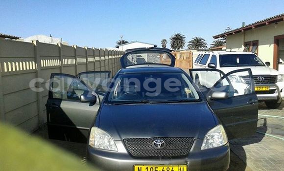 Buy Used Toyota Runx Black Car in Windhoek in Namibia Buy Used Toyota Runx Black Car in Windhoek in Namibia