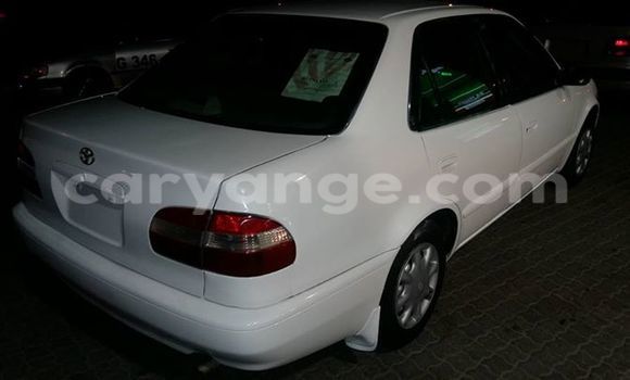 Buy Used Toyota Corolla Other Car in Windhoek in Namibia Buy Used Toyota Corolla Other Car in Windhoek in Namibia