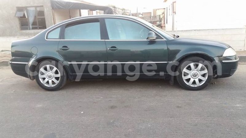 Big with watermark 14695326 1276538865723864 3907257530309395993 n