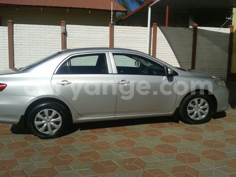 Big with watermark 14695326 1276538865723864 3907257530309395993 n