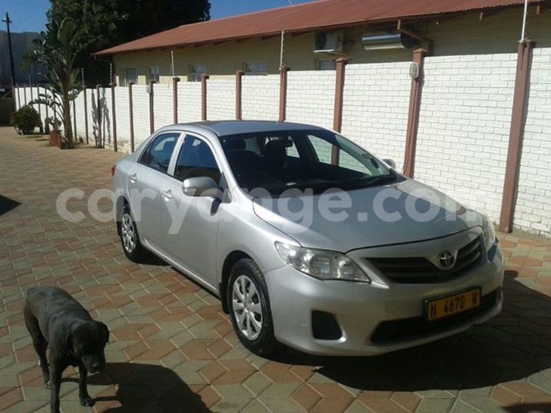 Big with watermark 14572839 1276538899057194 7605807282165903254 n