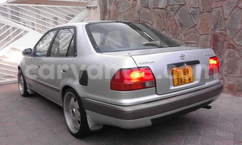 Big with watermark 14572839 1276538899057194 7605807282165903254 n