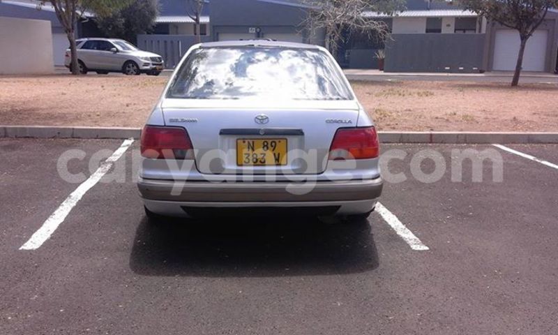 Big with watermark 14937420 10210899464142563 5142262507148257599 n