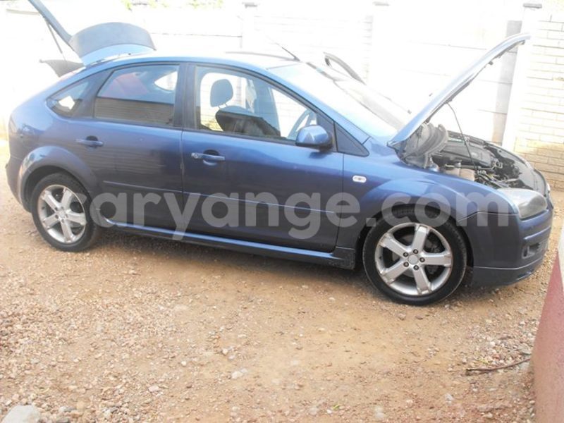 Big with watermark 14937420 10210899464142563 5142262507148257599 n