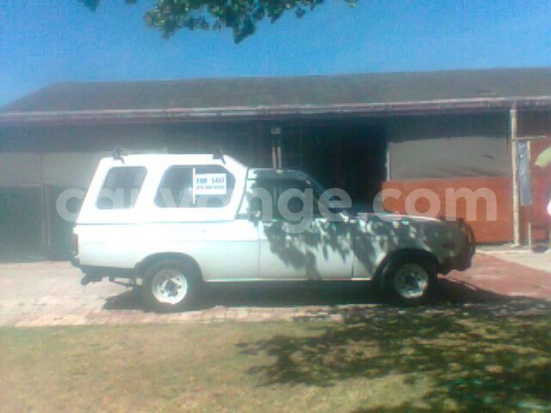 Big with watermark 14695326 1276538865723864 3907257530309395993 n