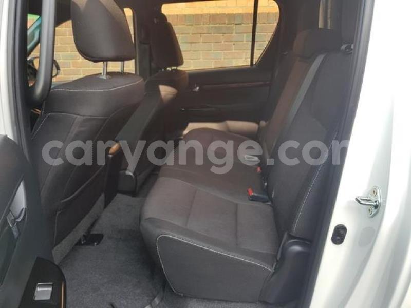 Big with watermark c11