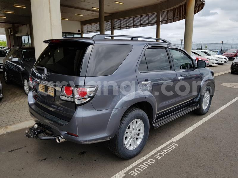 Big with watermark y3