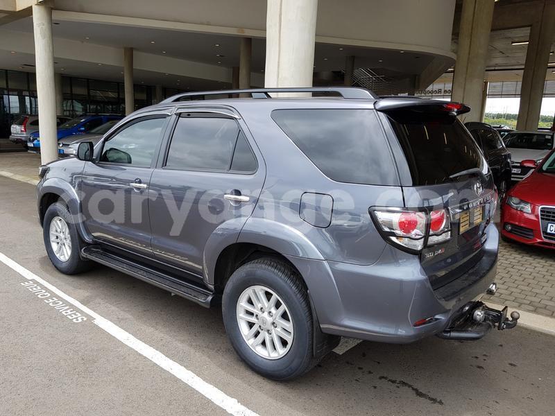 Big with watermark y4