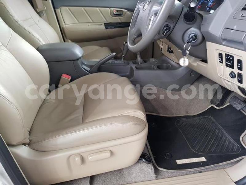 Big with watermark y11