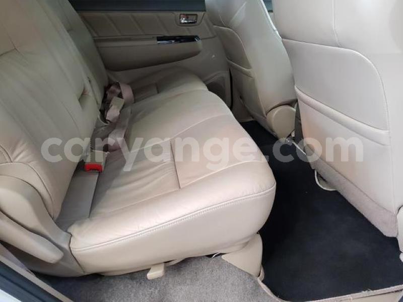 Big with watermark y13