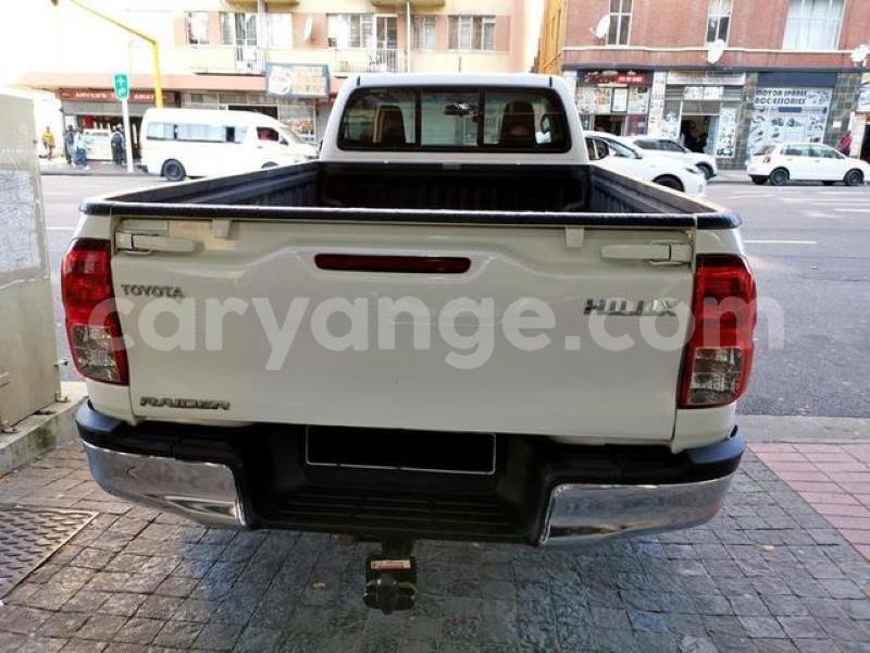 Big with watermark r4