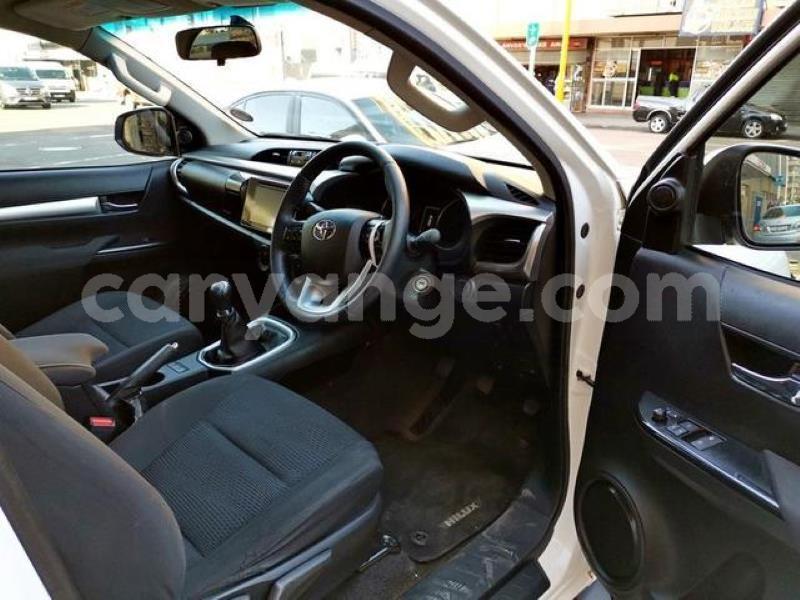 Big with watermark r5