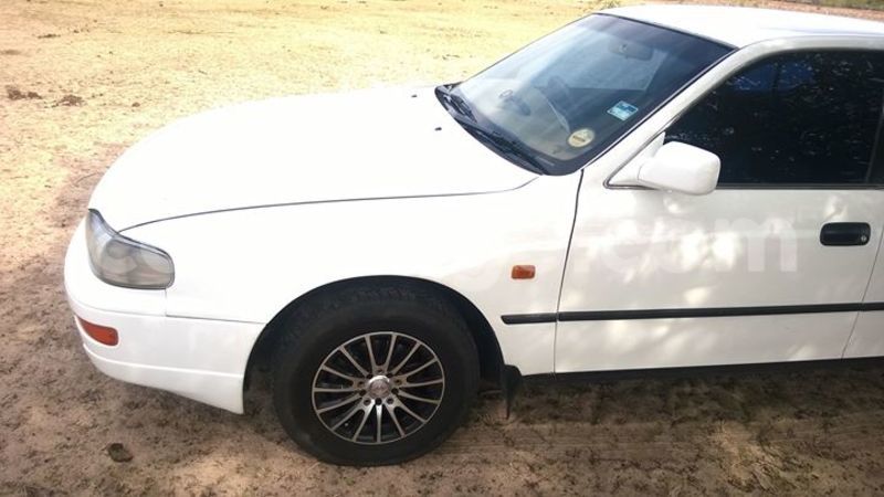 Big with watermark 14572839 1276538899057194 7605807282165903254 n